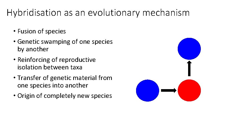 Hybridisation as an evolutionary mechanism • Fusion of species • Genetic swamping of one