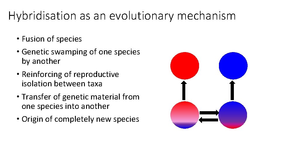 Hybridisation as an evolutionary mechanism • Fusion of species • Genetic swamping of one