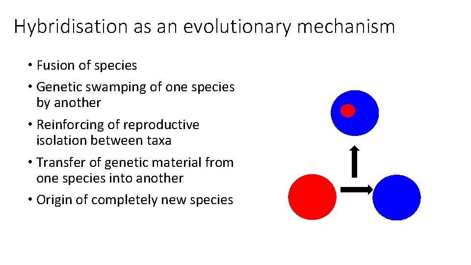 Hybridisation as an evolutionary mechanism • Fusion of species • Genetic swamping of one