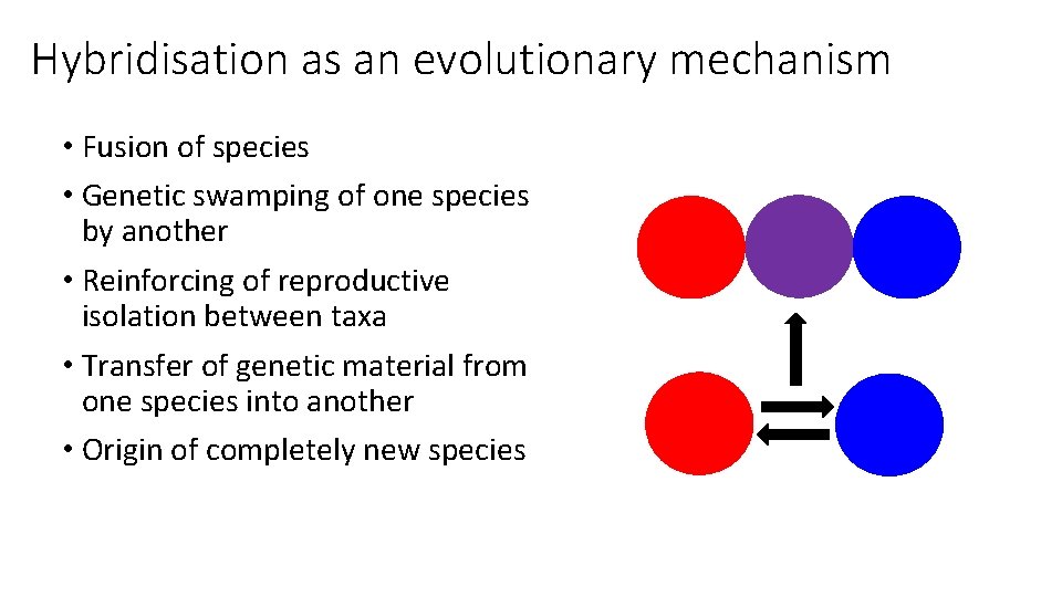 Hybridisation as an evolutionary mechanism • Fusion of species • Genetic swamping of one