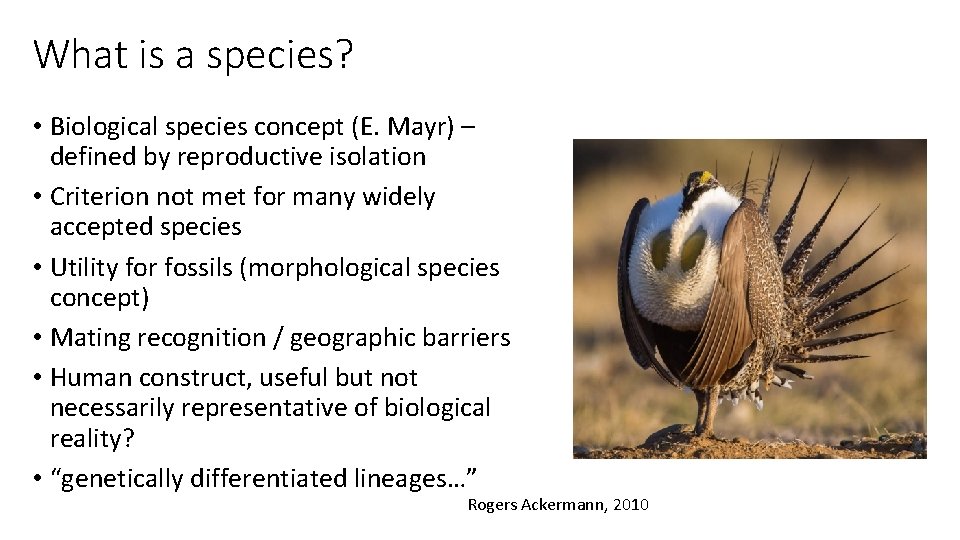 What is a species? • Biological species concept (E. Mayr) – defined by reproductive