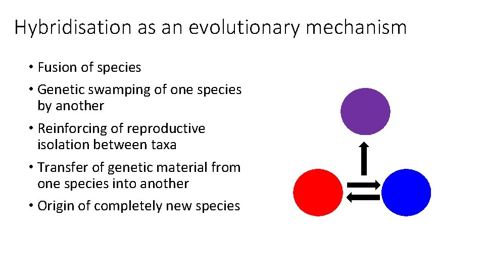 Hybridisation as an evolutionary mechanism • Fusion of species • Genetic swamping of one