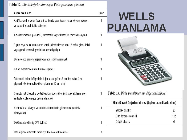 WELLS PUANLAMA 