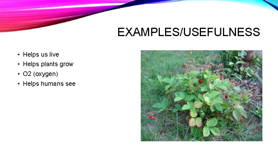 EXAMPLES/USEFULNESS • Helps us live • Helps plants grow • O 2 (oxygen) •