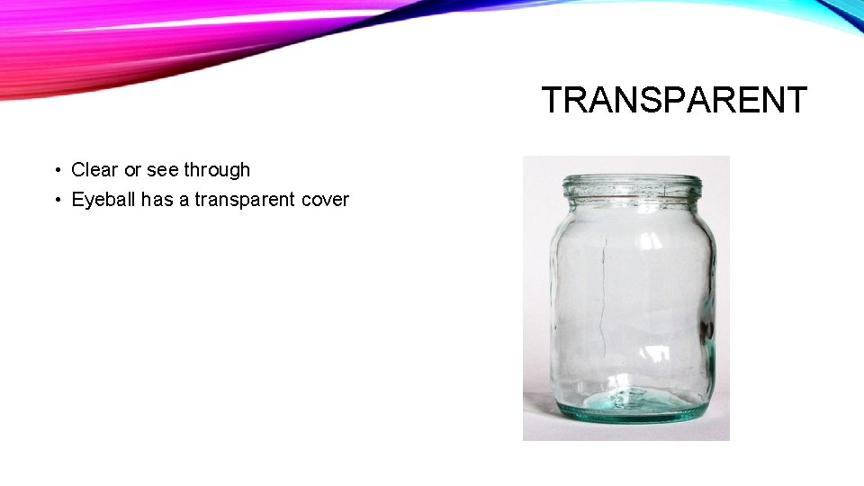 TRANSPARENT • Clear or see through • Eyeball has a transparent cover 