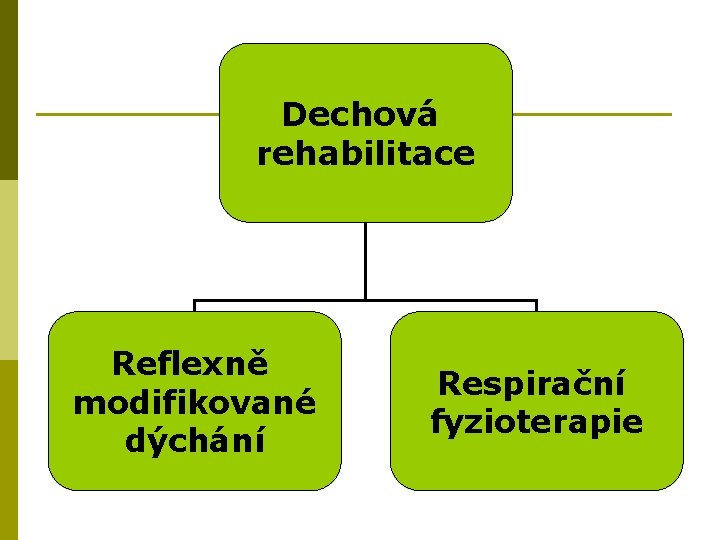 Dechová rehabilitace Reflexně modifikované dýchání Respirační fyzioterapie 