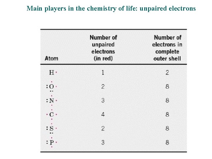 Main players in the chemistry of life: unpaired electrons 