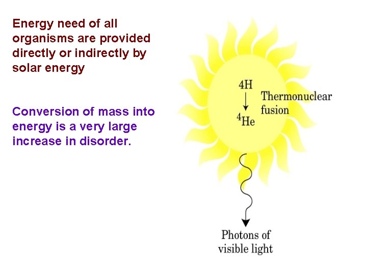 Energy need of all organisms are provided directly or indirectly by solar energy Conversion