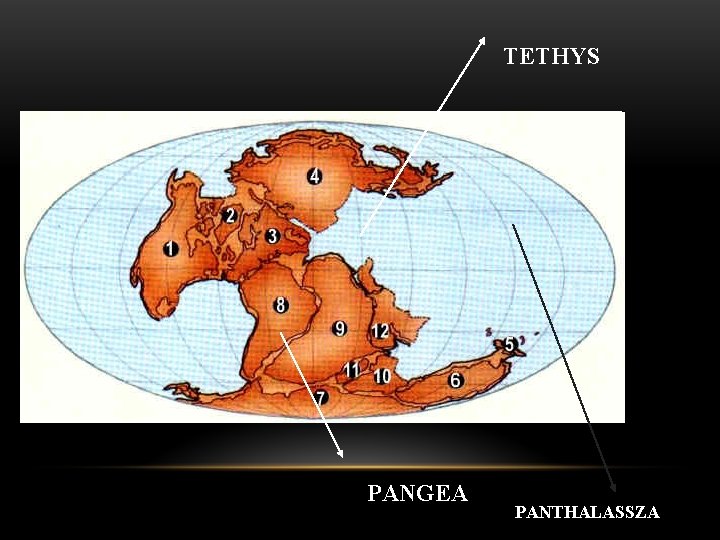 TETHYS PANGEA PANTHALASSZA 