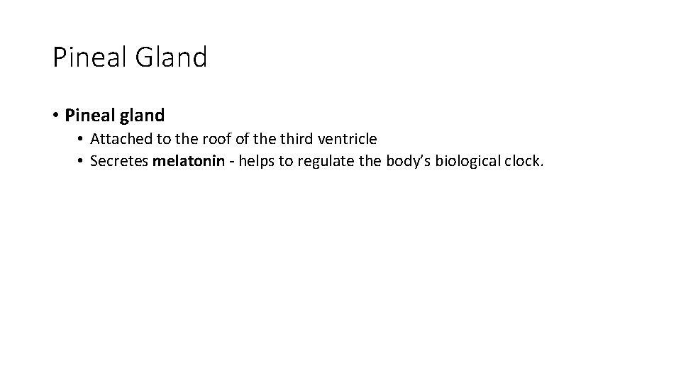 Pineal Gland • Pineal gland • Attached to the roof of the third ventricle