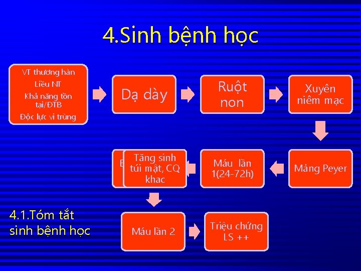 4. Sinh bệnh học VT thương hàn Liều NT Khả năng tồn tại/ĐTB Độc