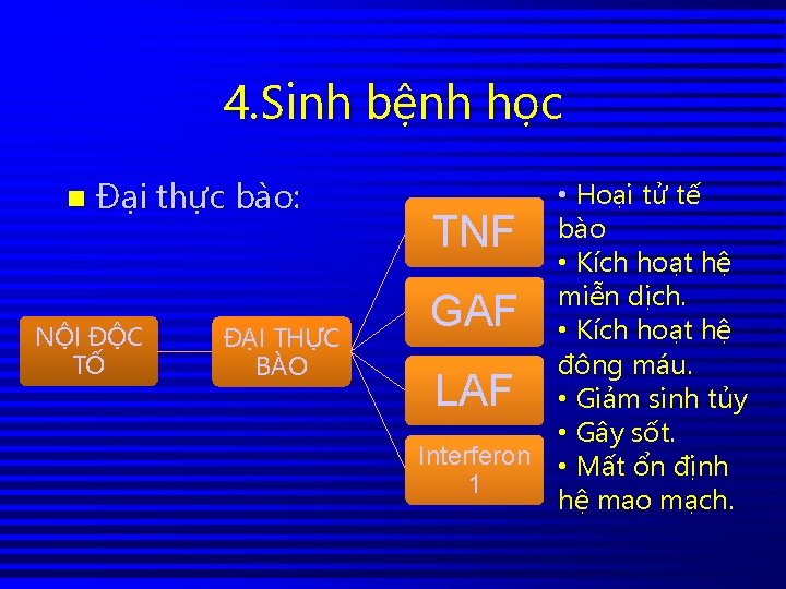 4. Sinh bệnh học n Đại thực bào: NỘI ĐỘC TỐ ĐẠI THỰC BÀO