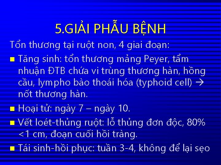 5. GIẢI PHẪU BỆNH Tổn thương tại ruột non, 4 giai đoạn: n Tăng