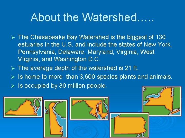 About the Watershed…. . The Chesapeake Bay Watershed is the biggest of 130 estuaries