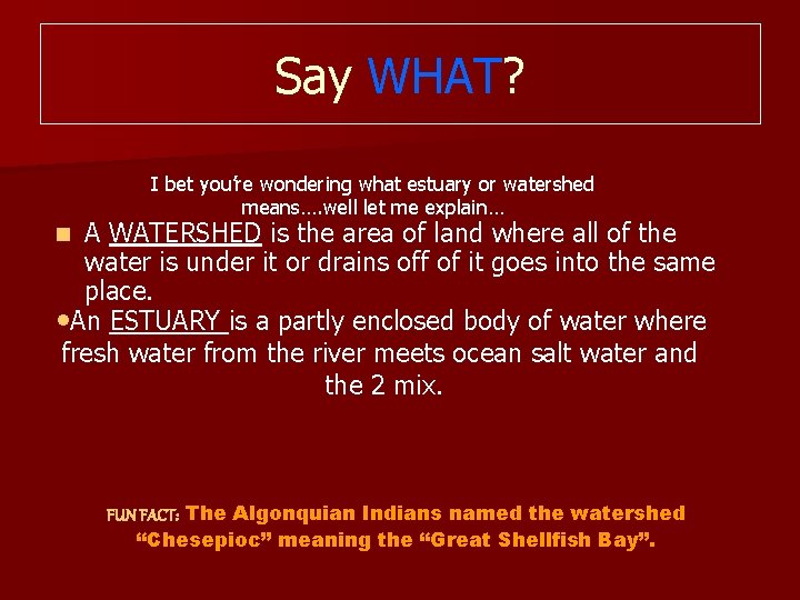 Say WHAT? I bet you’re wondering what estuary or watershed means…. well let me