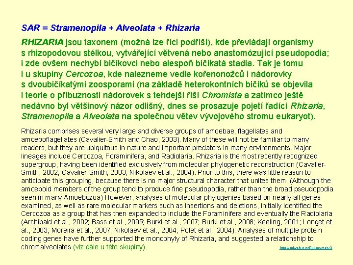SAR = Stramenopila + Alveolata + Rhizaria RHIZARIA jsou taxonem (možná lze říci podříší),