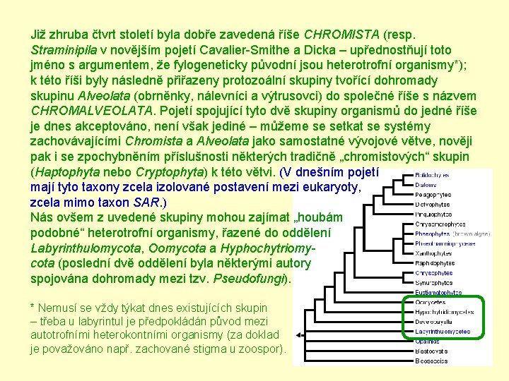 Již zhruba čtvrt století byla dobře zavedená říše CHROMISTA (resp. Straminipila v novějším pojetí