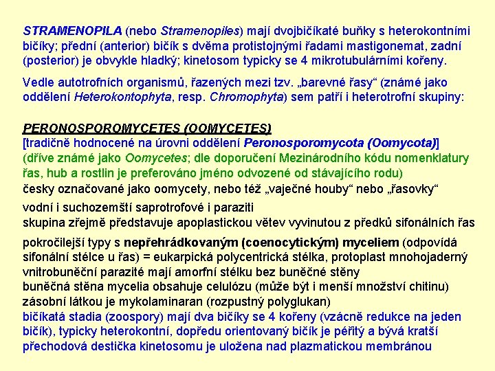 STRAMENOPILA (nebo Stramenopiles) mají dvojbičíkaté buňky s heterokontními bičíky; přední (anterior) bičík s dvěma