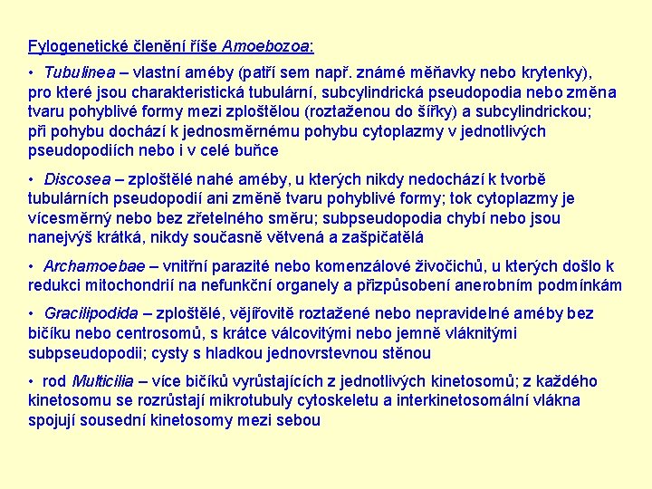 Fylogenetické členění říše Amoebozoa: • Tubulinea – vlastní améby (patří sem např. známé měňavky