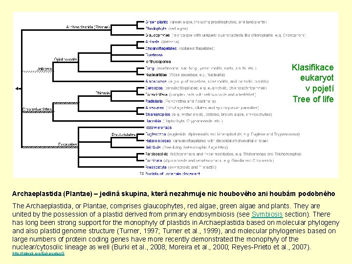 Klasifikace eukaryot v pojetí Tree of life Archaeplastida (Plantae) – jediná skupina, která nezahrnuje