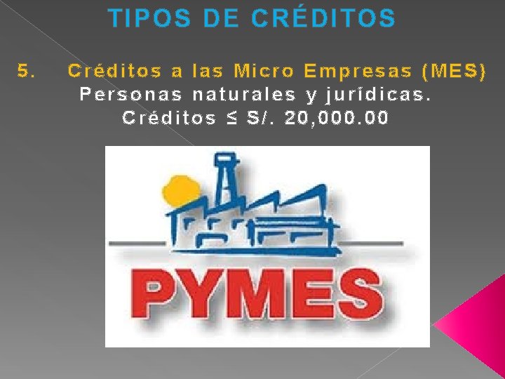 TIPOS DE CRÉDITOS 5. Créditos a las Micro Empresas (MES) Personas naturales y jurídicas.