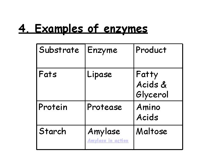 Biology Enzymes Learning Intentions 1 2 3 4