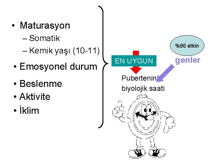  • Maturasyon – Somatik – Kemik yaşı (10 -11) • Emosyonel durum •