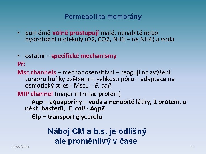 Permeabilita membrány • poměrně volně prostupují malé, nenabité nebo hydrofobní molekuly (O 2, CO