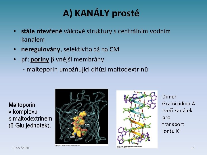 A) KANÁLY prosté • stále otevřené válcové struktury s centrálním vodním kanálem • neregulovány,