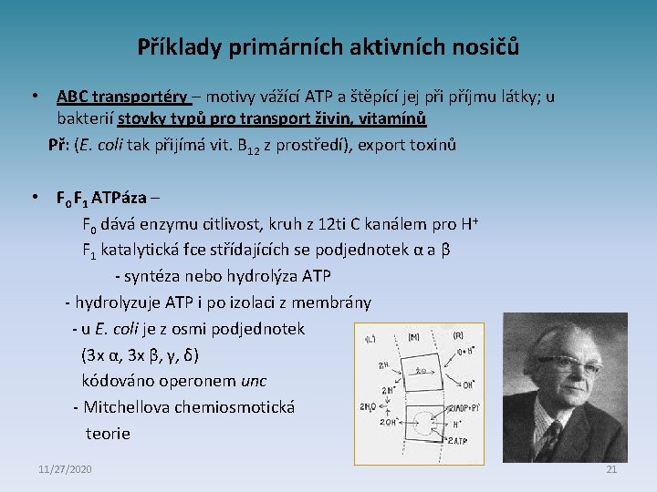 Příklady primárních aktivních nosičů • ABC transportéry – motivy vážící ATP a štěpící jej
