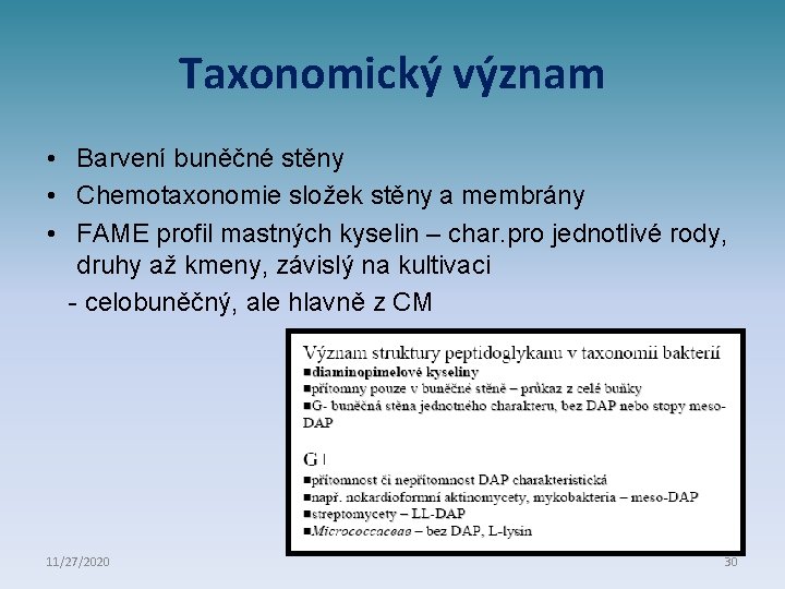 Taxonomický význam • Barvení buněčné stěny • Chemotaxonomie složek stěny a membrány • FAME