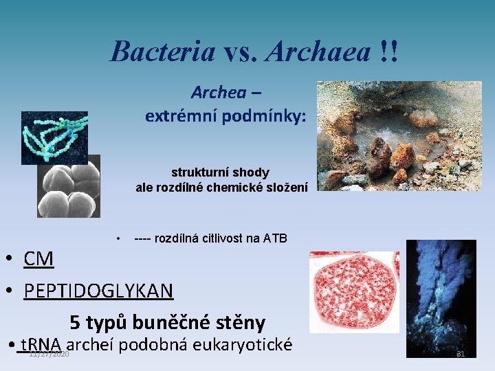 Bacteria vs. Archaea !! Archea – extrémní podmínky: strukturní shody ale rozdílné chemické složení