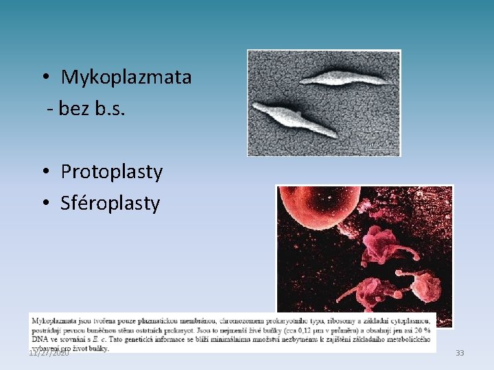  • Mykoplazmata - bez b. s. • Protoplasty • Sféroplasty 11/27/2020 33 