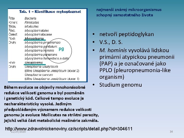 nejmenší známý mikroorganismus schopný samostatného života pg • netvoří peptidoglykan • V. S. ,