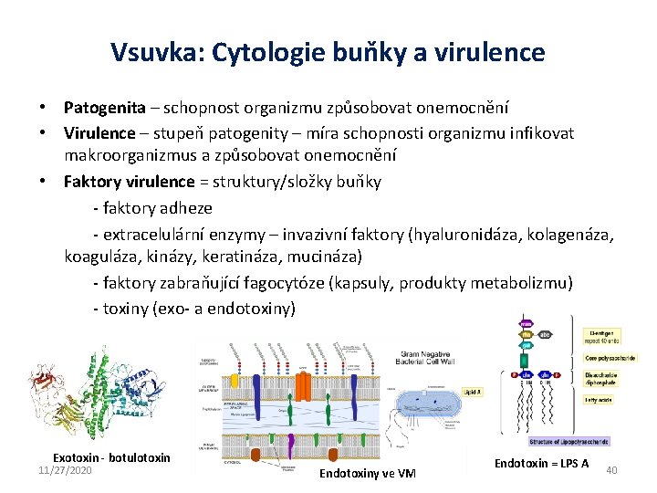 Vsuvka: Cytologie buňky a virulence • Patogenita – schopnost organizmu způsobovat onemocnění • Virulence