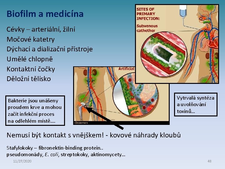 Biofilm a medicína Cévky – arteriální, žilní Močové katetry Dýchací a dializační přístroje Umělé