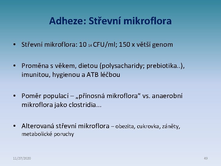 Adheze: Střevní mikroflora • Střevní mikroflora: 10 14 CFU/ml; 150 x větší genom •