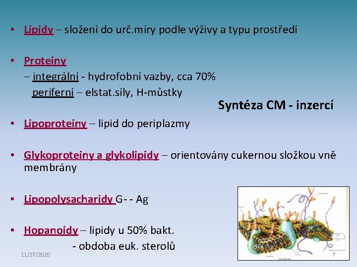  • Lipidy – složení do urč. míry podle výživy a typu prostředí •