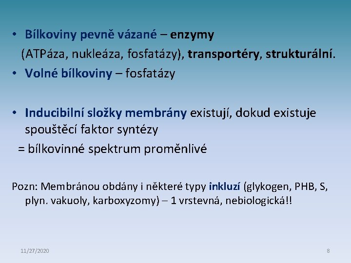  • Bílkoviny pevně vázané – enzymy (ATPáza, nukleáza, fosfatázy), transportéry, strukturální. • Volné