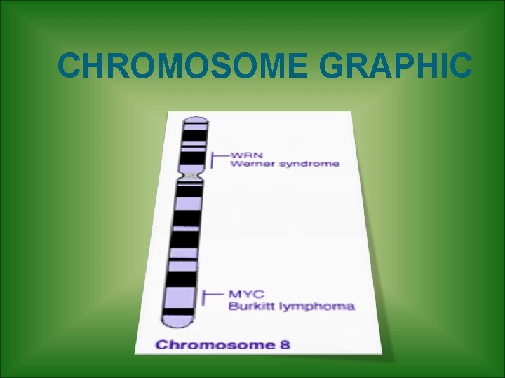 CHROMOSOME GRAPHIC 