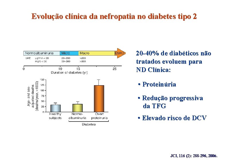 Evolução clínica da nefropatia no diabetes tipo 2 20 -40% de diabéticos não tratados