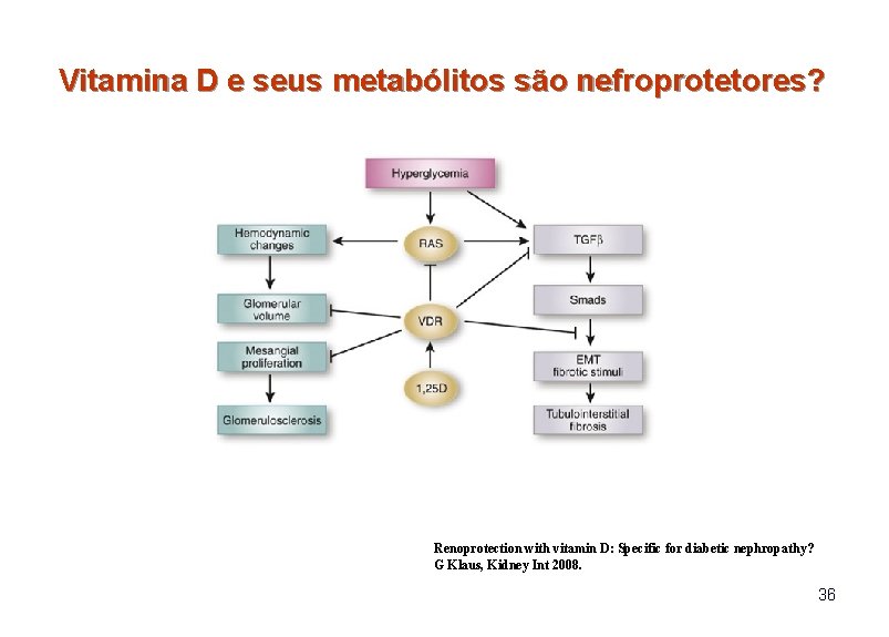 Vitamina D e seus metabólitos são nefroprotetores? Renoprotection with vitamin D: Specific for diabetic