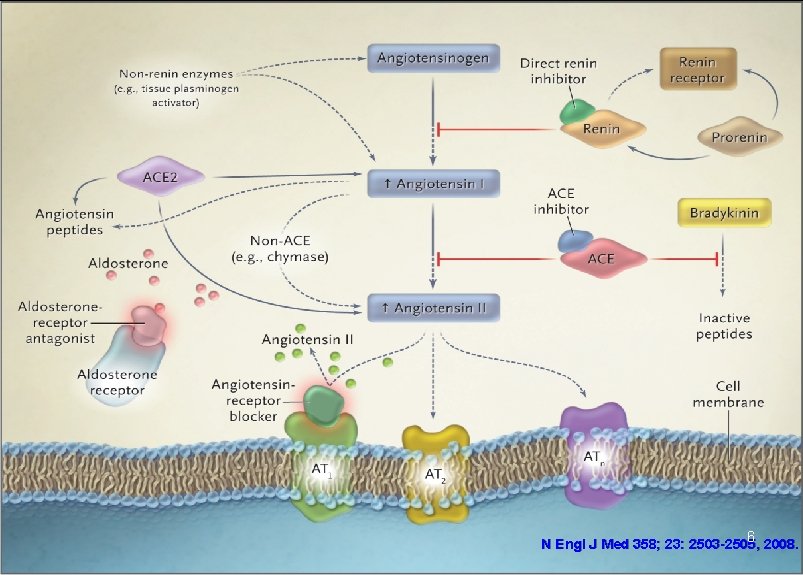 6 , 2008. N Engl J Med 358; 23: 2503 -2505 