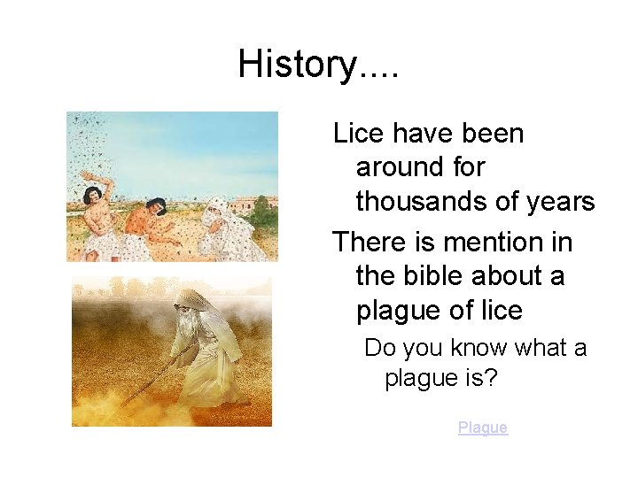 History. . Lice have been around for thousands of years There is mention in