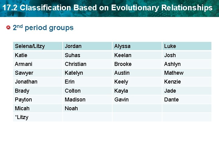 17. 2 Classification Based on Evolutionary Relationships 2 nd period groups Selena/Litzy Jordan Alyssa 17. 2 Classification Based on Evolutionary Relationships 2 nd period groups Selena/Litzy Jordan Alyssa