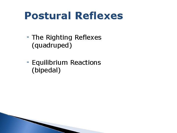Postural Reflexes The Righting Reflexes (quadruped) Equilibrium Reactions (bipedal) 
