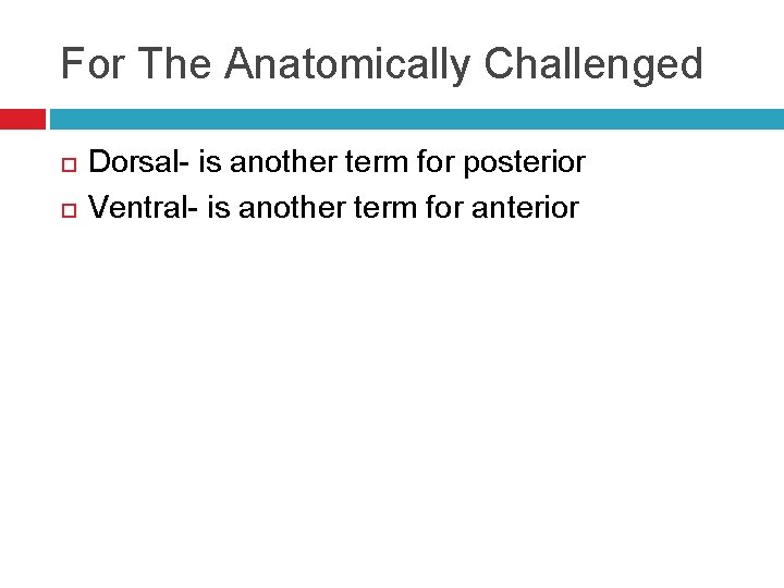 For The Anatomically Challenged Dorsal- is another term for posterior Ventral- is another term