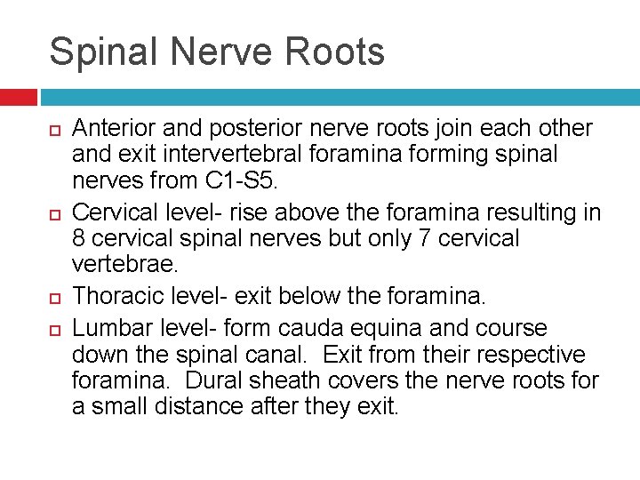 Spinal Nerve Roots Anterior and posterior nerve roots join each other and exit intervertebral