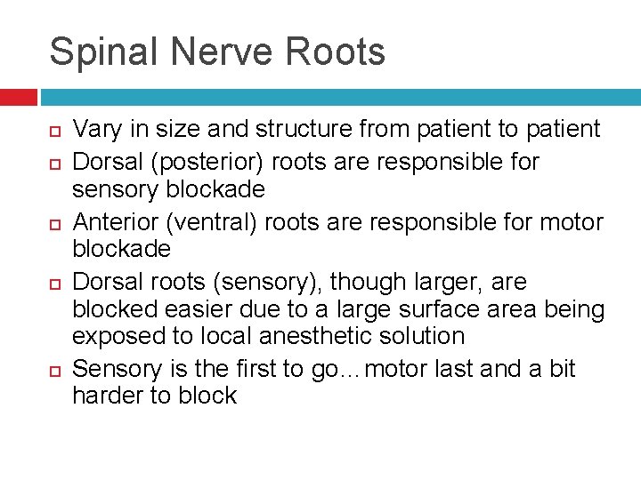 Spinal Nerve Roots Vary in size and structure from patient to patient Dorsal (posterior)