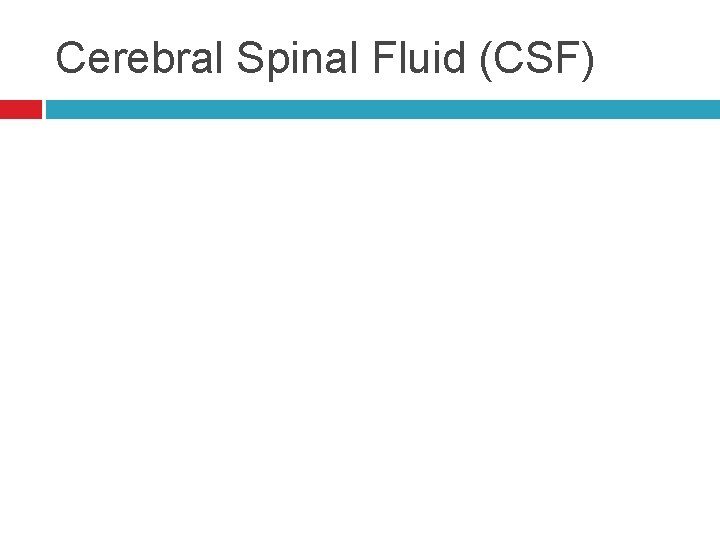 Cerebral Spinal Fluid (CSF) 